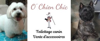 Illustration de O! Chien Chic